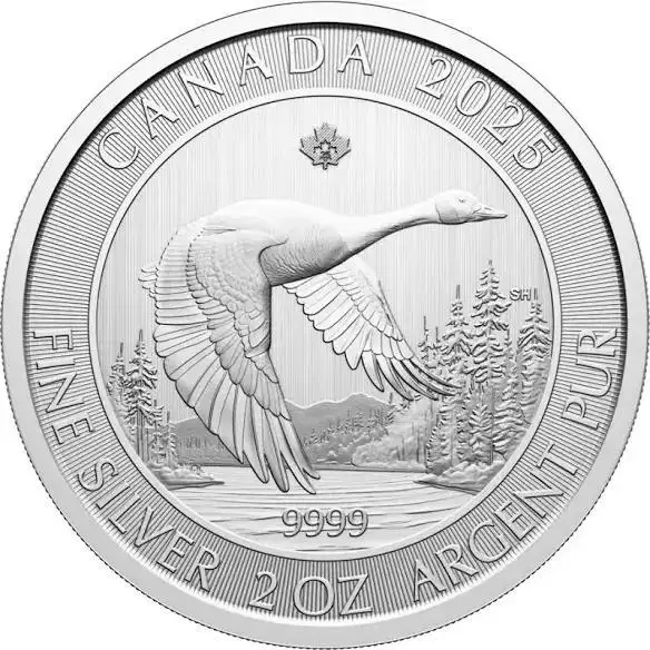 2oz Royal Canadian Mint Canada Goose Minted Silver Coin