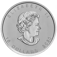 Gold & Silver Coins 2oz Royal Canadian Mint Canada Goose Minted Silver Coin
