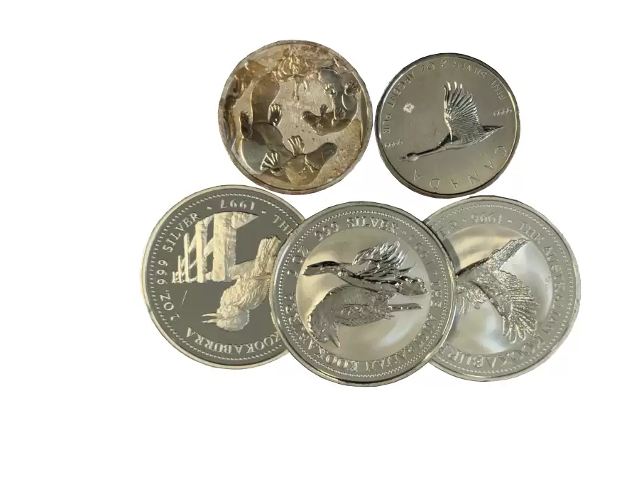 Dealers Choice 2oz Silver coins